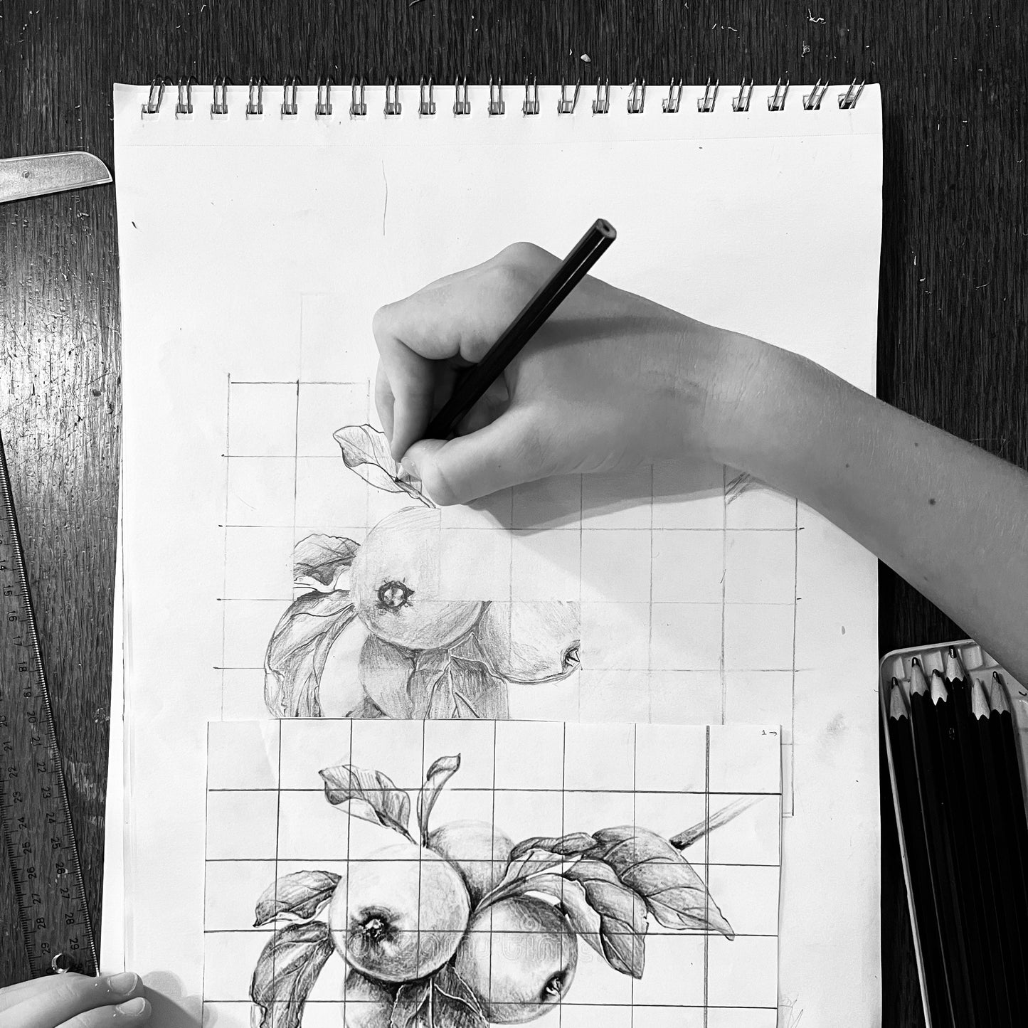 Teen Realism Drawing | 5 - 6pm