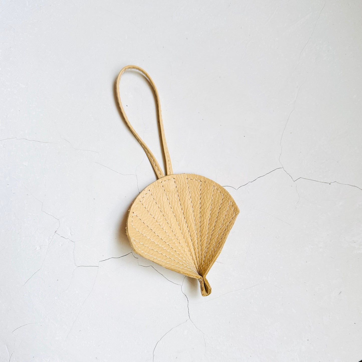Shell Charms
