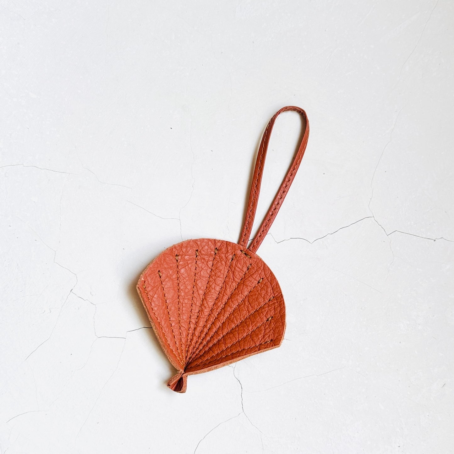 Shell Charms
