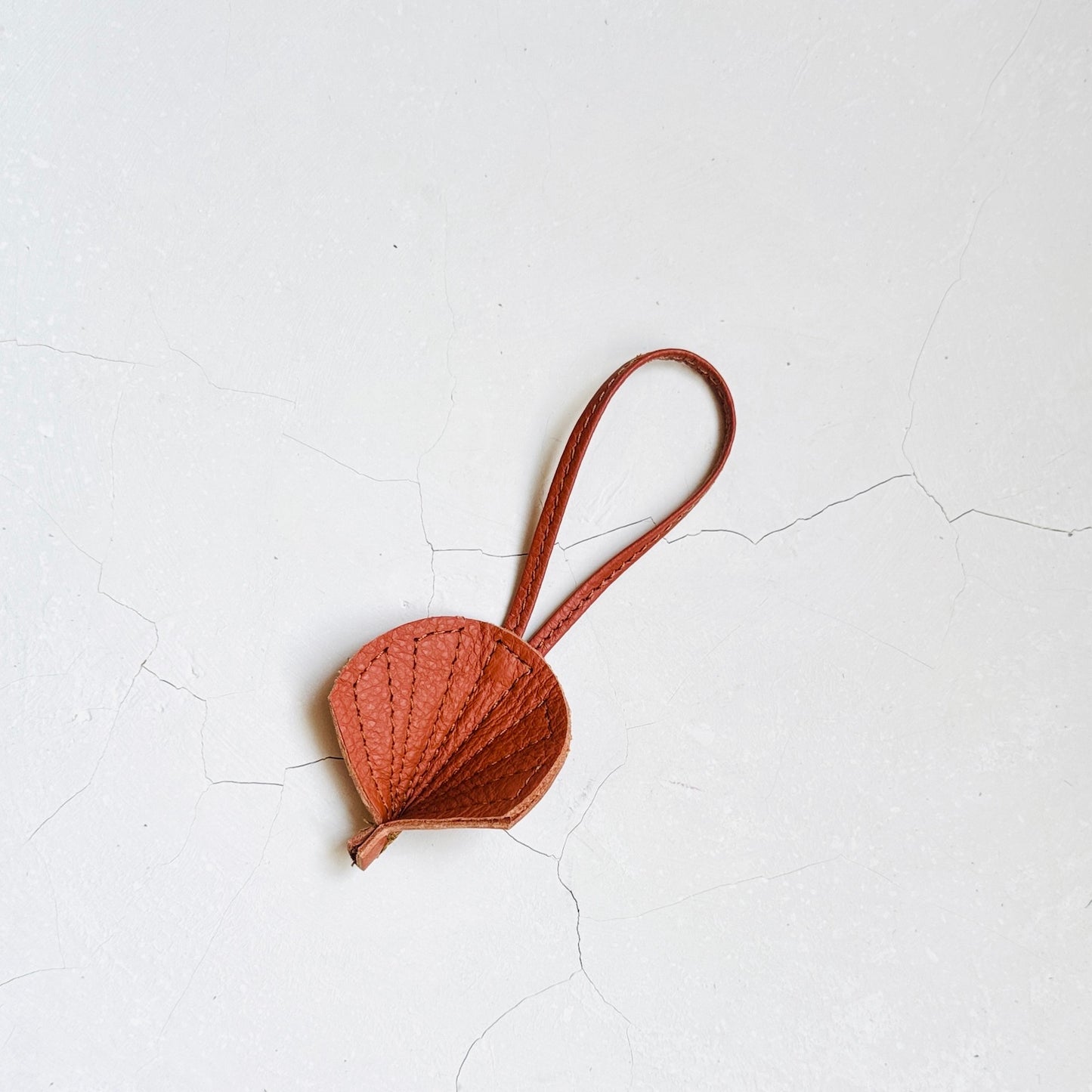 Shell Charms