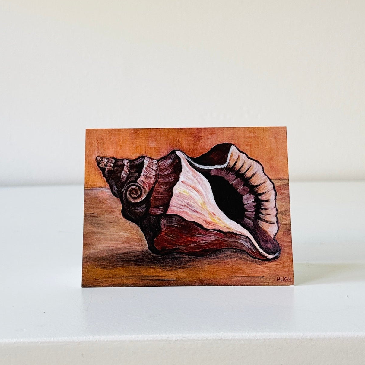 Shell Cards